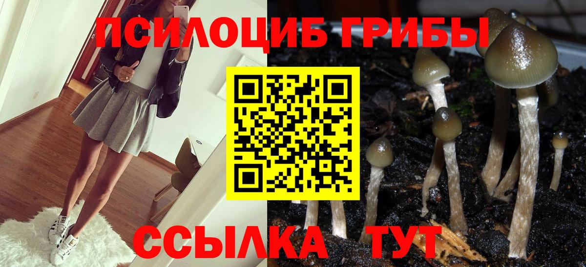 Псилоцибиновые грибы мухоморы Волоколамск